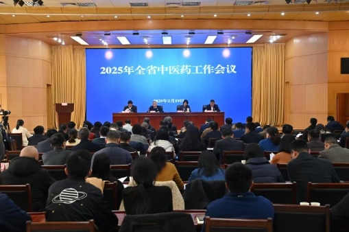 2025年全省中医药工作会议在肥召开 2025年全省中医药工作会议在肥召开