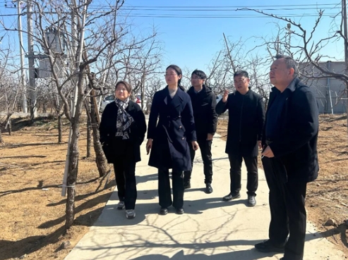 河北省药监局积极助力赞皇酸枣道地中药材产业发展2 河北省药监局积极助力赞皇酸枣道地中药材产业发展2