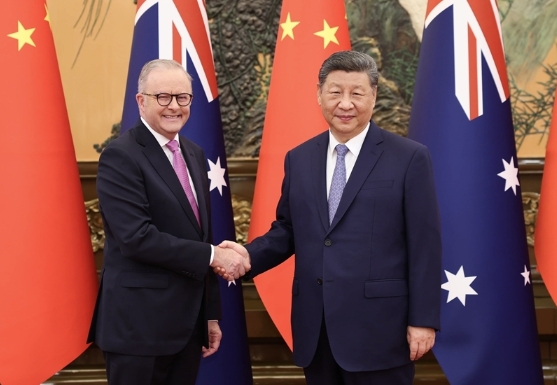 习近平会见澳大利亚总理阿尔巴尼斯 习近平会见澳大利亚总理阿尔巴尼斯
